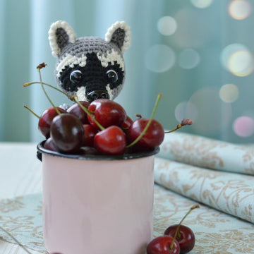 Raccoon