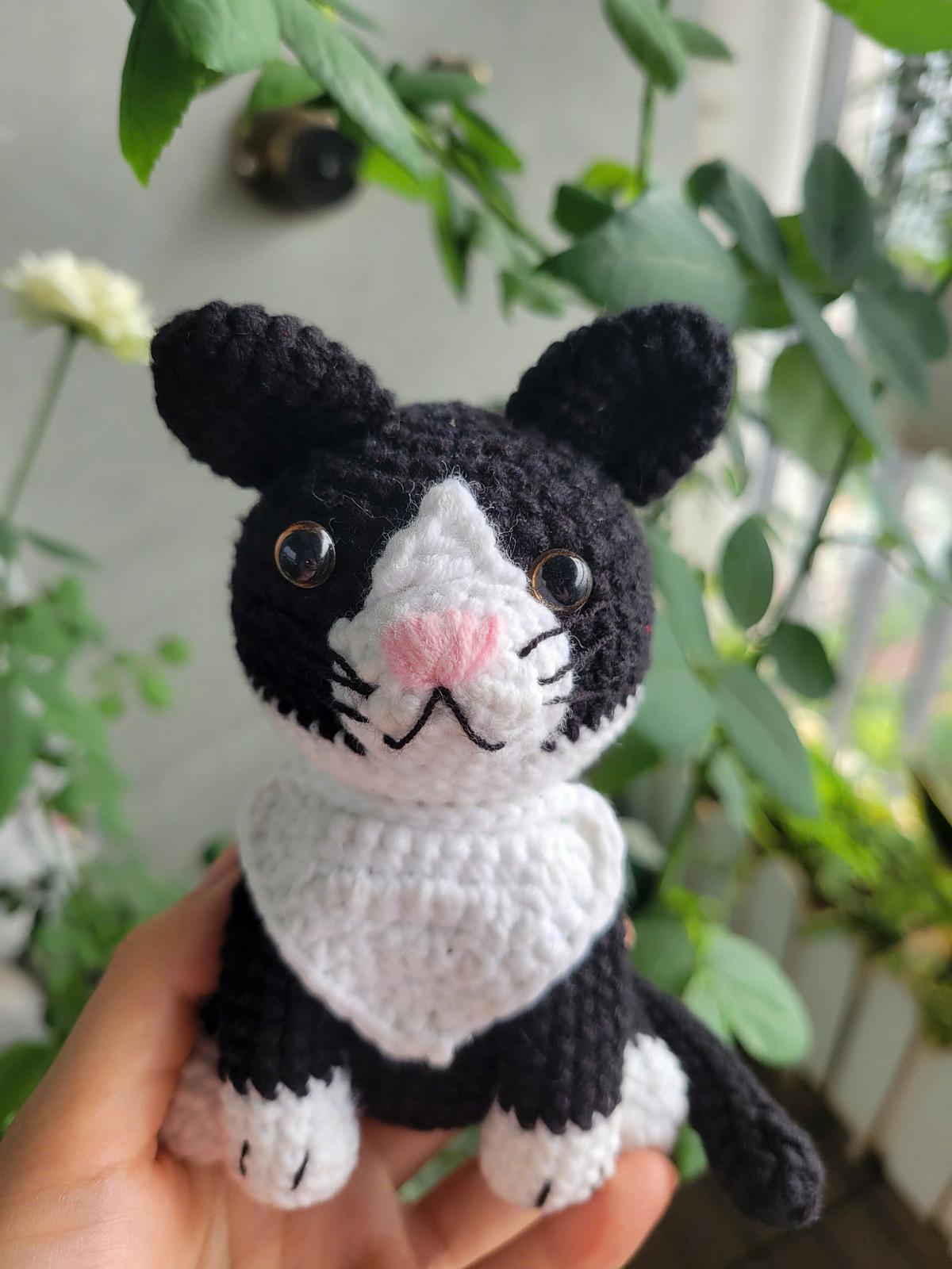 Tuxedo Cat