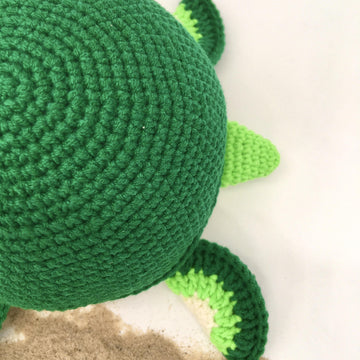 Timmy the Turtle