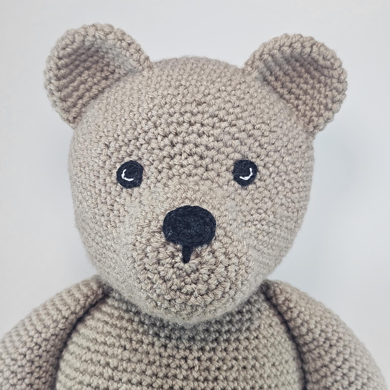 The Forever Hug Bear