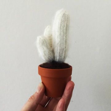 Baby Cactus Garden