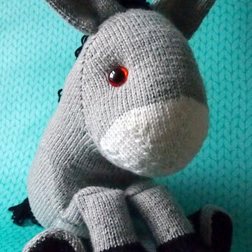 Duncan the Donkey