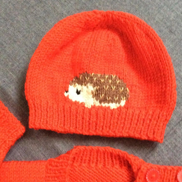Hedgehog Sweater Set
