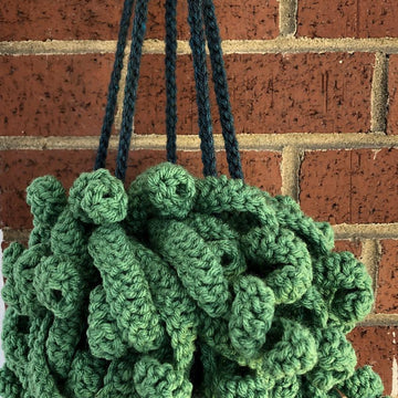 Hanging spiritual plant