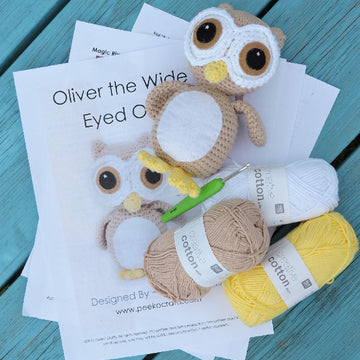 Oliver the Wide Eyed Owl