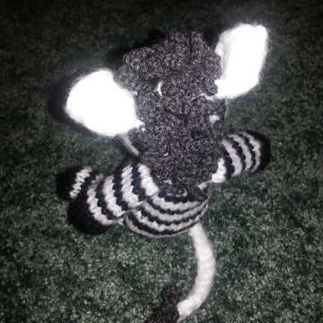Zebra