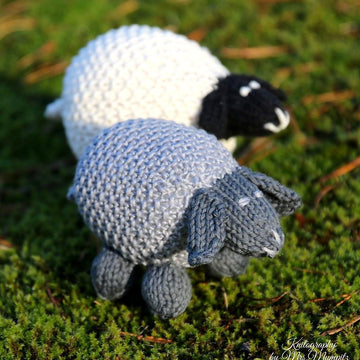 Valentina the sheep