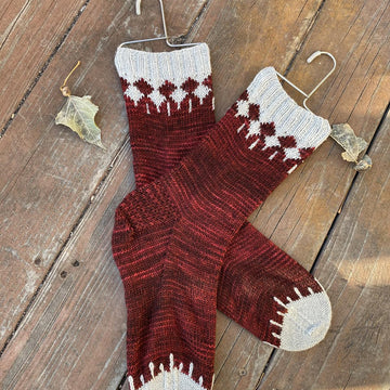 Rusted Gate Socks