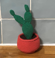 Amigurami Bunny Ears Cactus Plant
