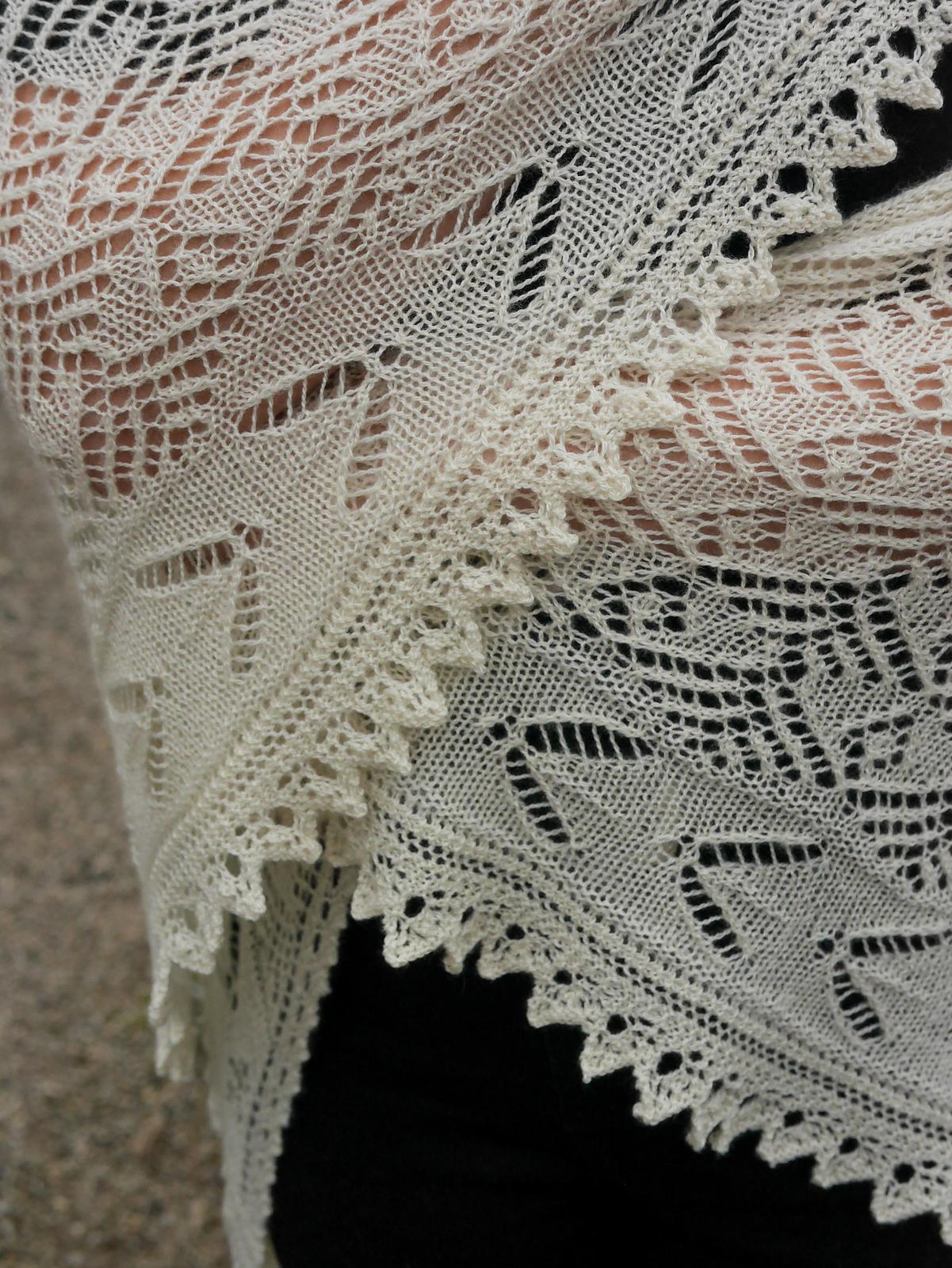 Lacewing