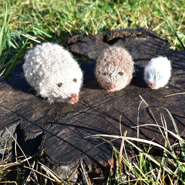 Hedgehog Woodland collection