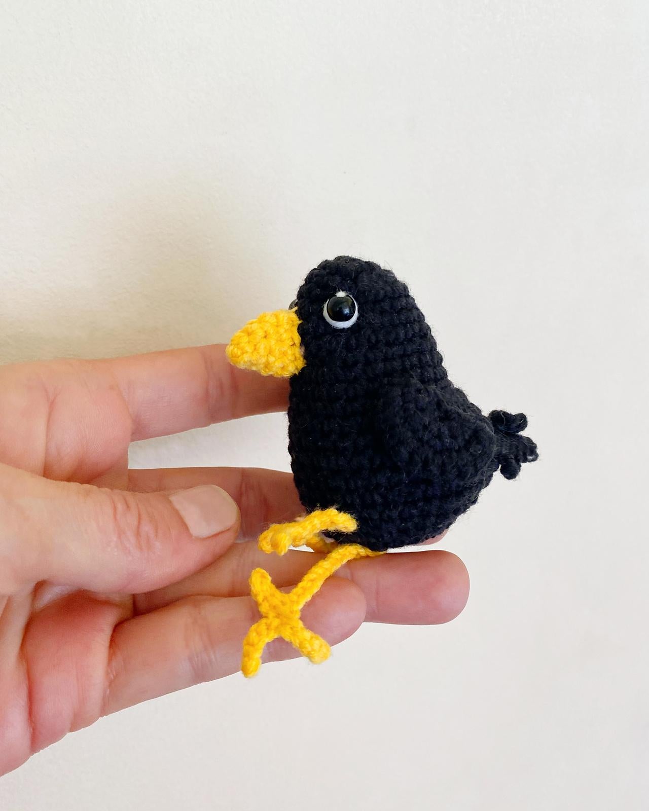 Crow and pumpkins