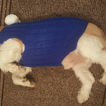 Bailey's Blue Jacket