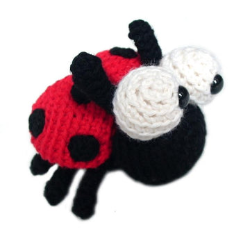 Vera the Ladybug