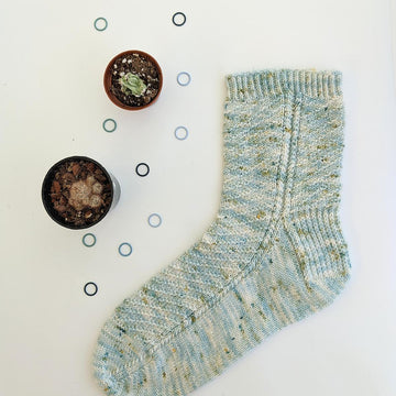 Collin Sox