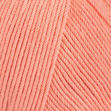 Flamingo (341)