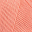 Flamingo (341)