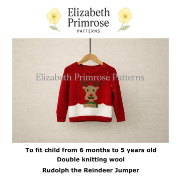 Rudolph the Reindeer Raglan Sweater P178