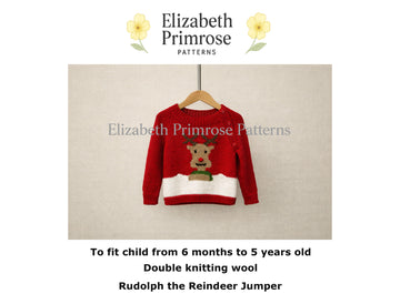 Rudolph the Reindeer Raglan Sweater P178