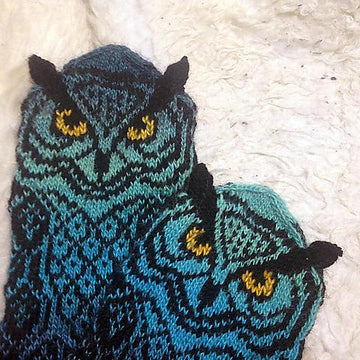 Owl Around