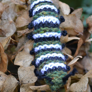 Monarch Caterpillar and Chrysallis