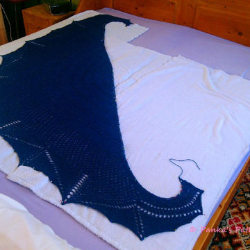 Closer to Fine Shawl