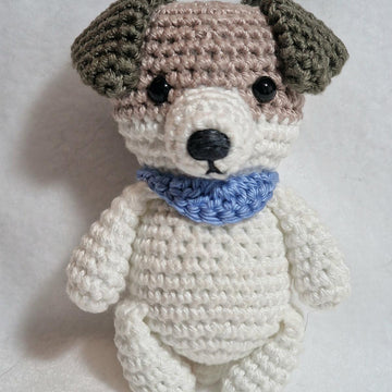 Jack Russell Terrier Dog