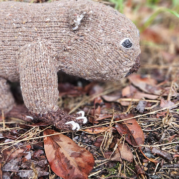 Australian Wombat