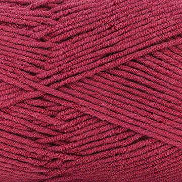 Anemone (215)