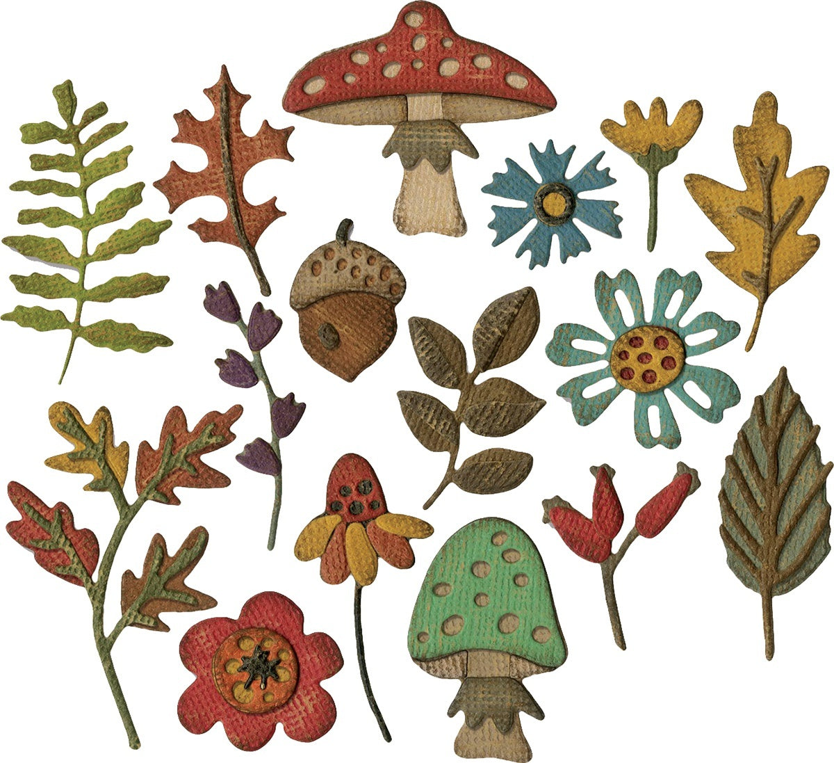 Sizzix Thinlits Dies By Tim Holtz 20/Pkg - Funky Foliage