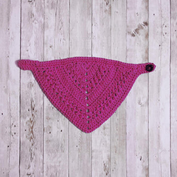 Paige's Bandana Drool Bib