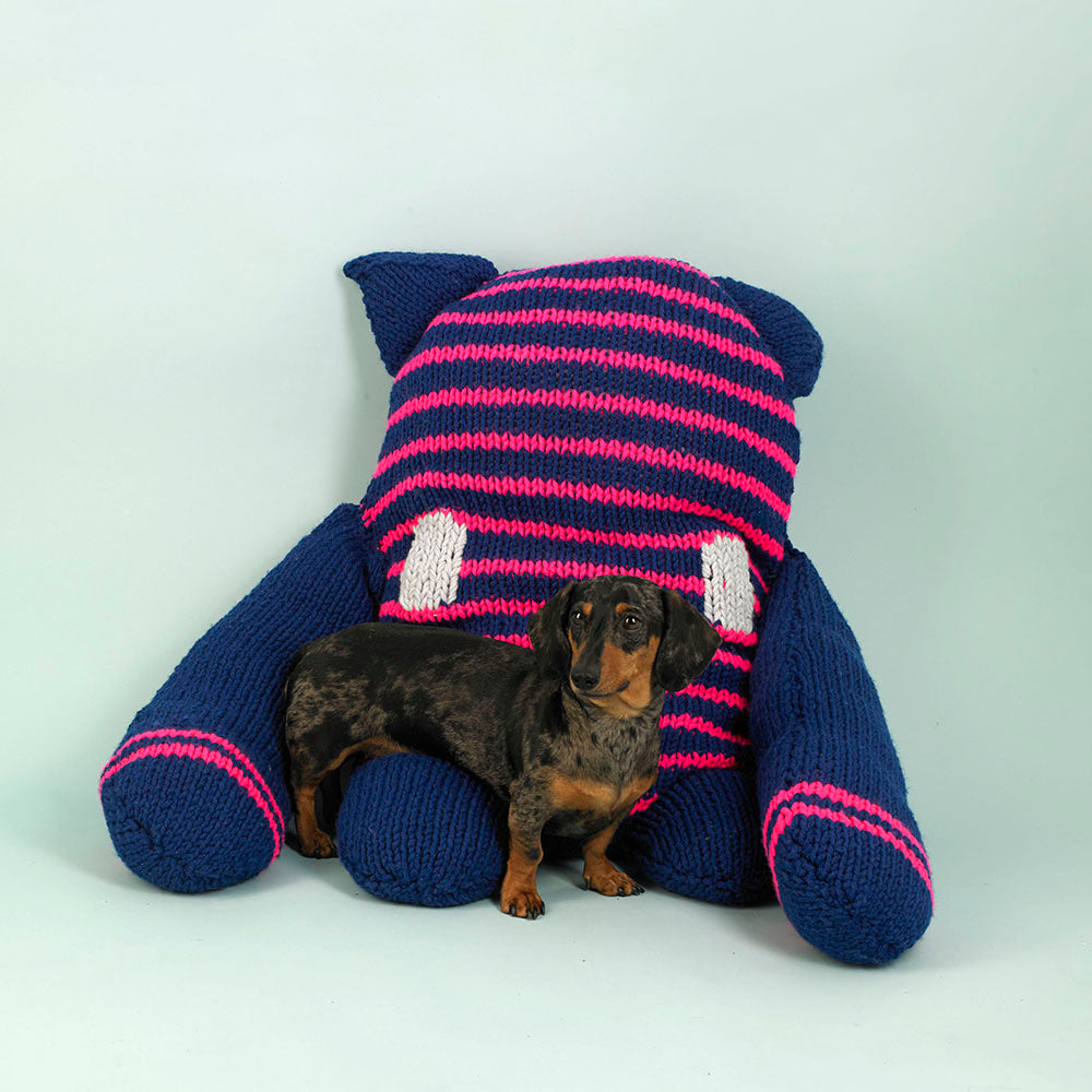 "Kiko the Knitted Monster" - Free Toy Knitting Pattern in Paintbox Yarns