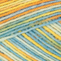 Variegata Color (01261)