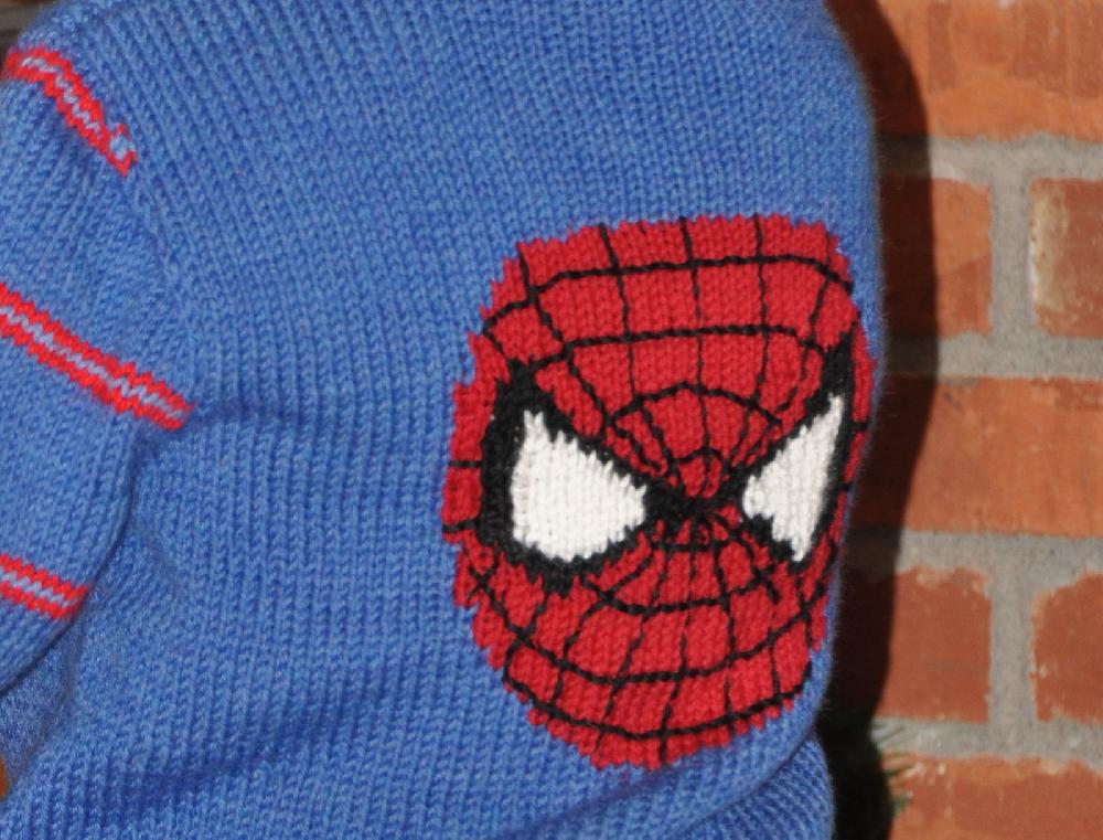 Spider Guy