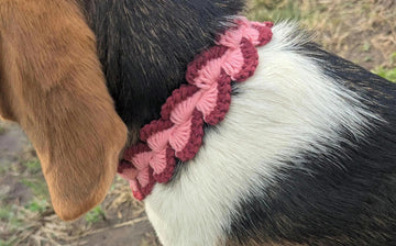 Dog Bandana Neckwear English_US