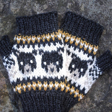 Black Bears