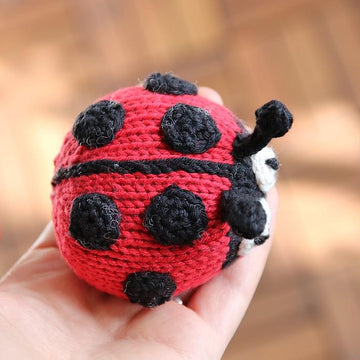 Marie the Ladybug