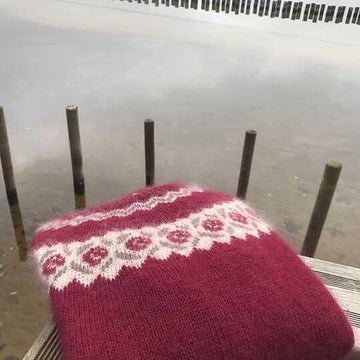Pull Hellébore