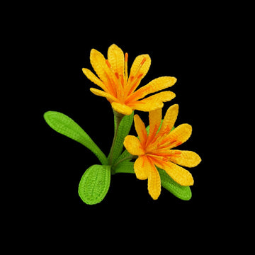 Crochet Lewisia Cotyledon flower