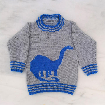 Dinosaur Sweater - Brontosaurus