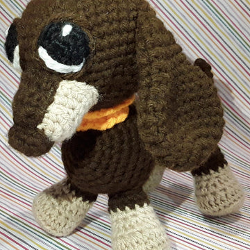 Dachshund puppy dog