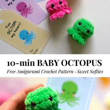 Baby Octopus