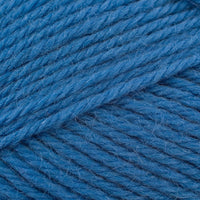 Myosotis (20841)
