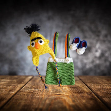 Sesame Street Bert Outfit