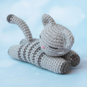 Sleeping kitten