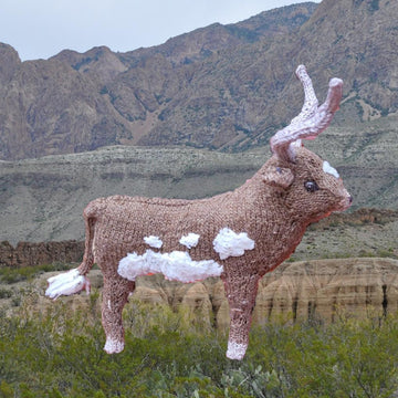 Cute Cattle