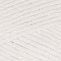 Oyster (228)