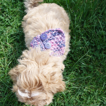 Dog Raspberry Buttoned Cowl