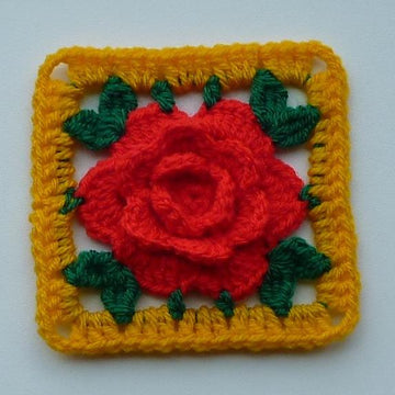 Chinese Rose in square