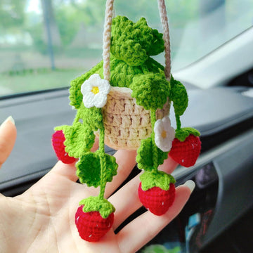 Strawberry Car Hanging Plant